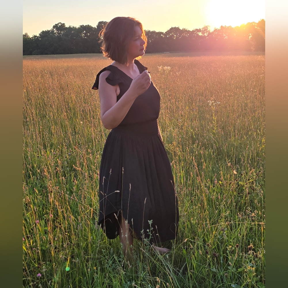 RAMY BROOK Black Dress w/Flutter Sleeve